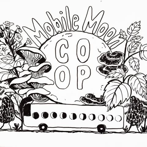 Mobile Moon Co-op