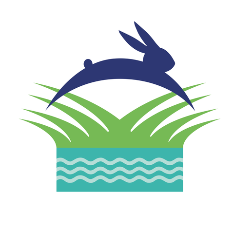 Bunnies on the Bayou