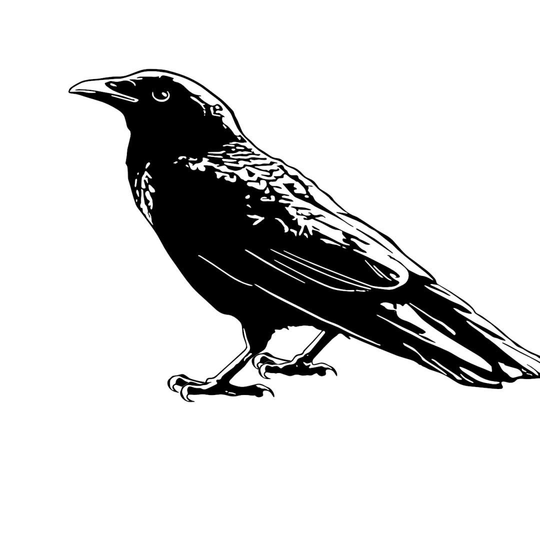 Cross & Crows Books