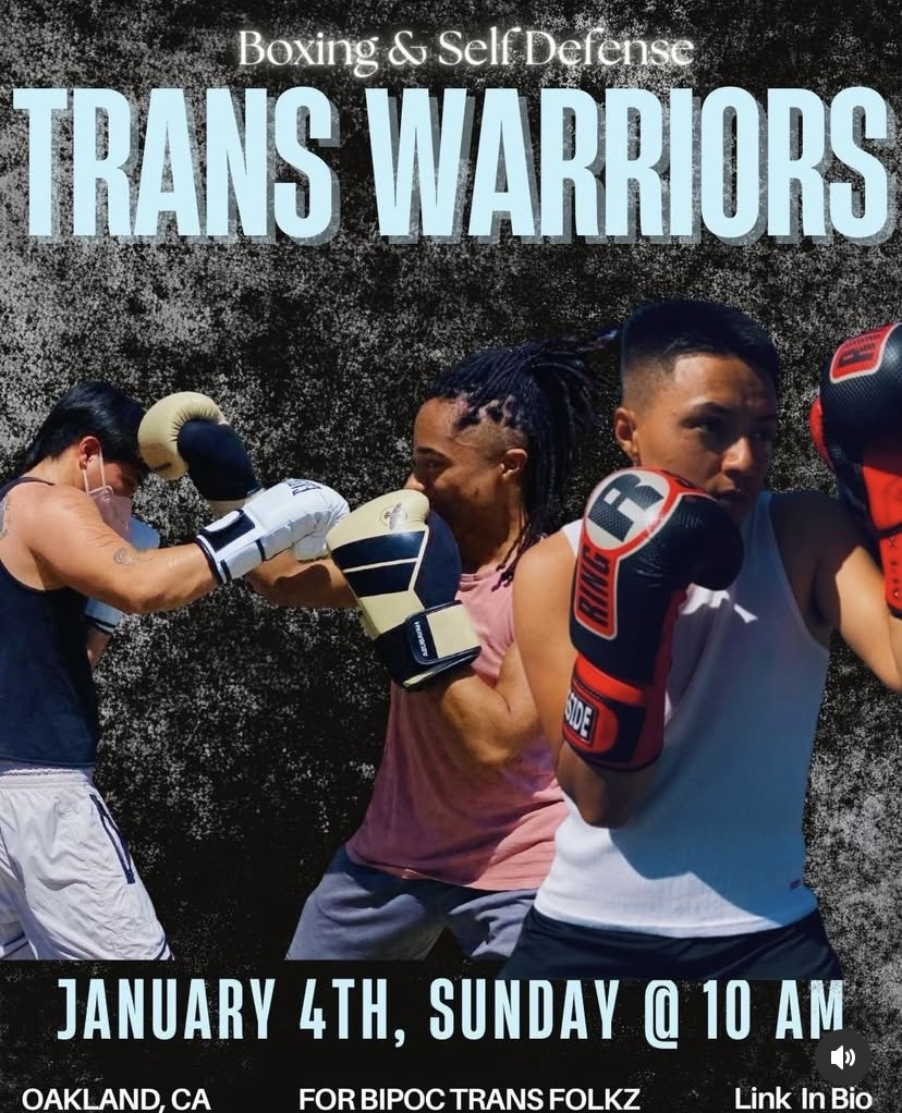 Trans Warriors Workshop