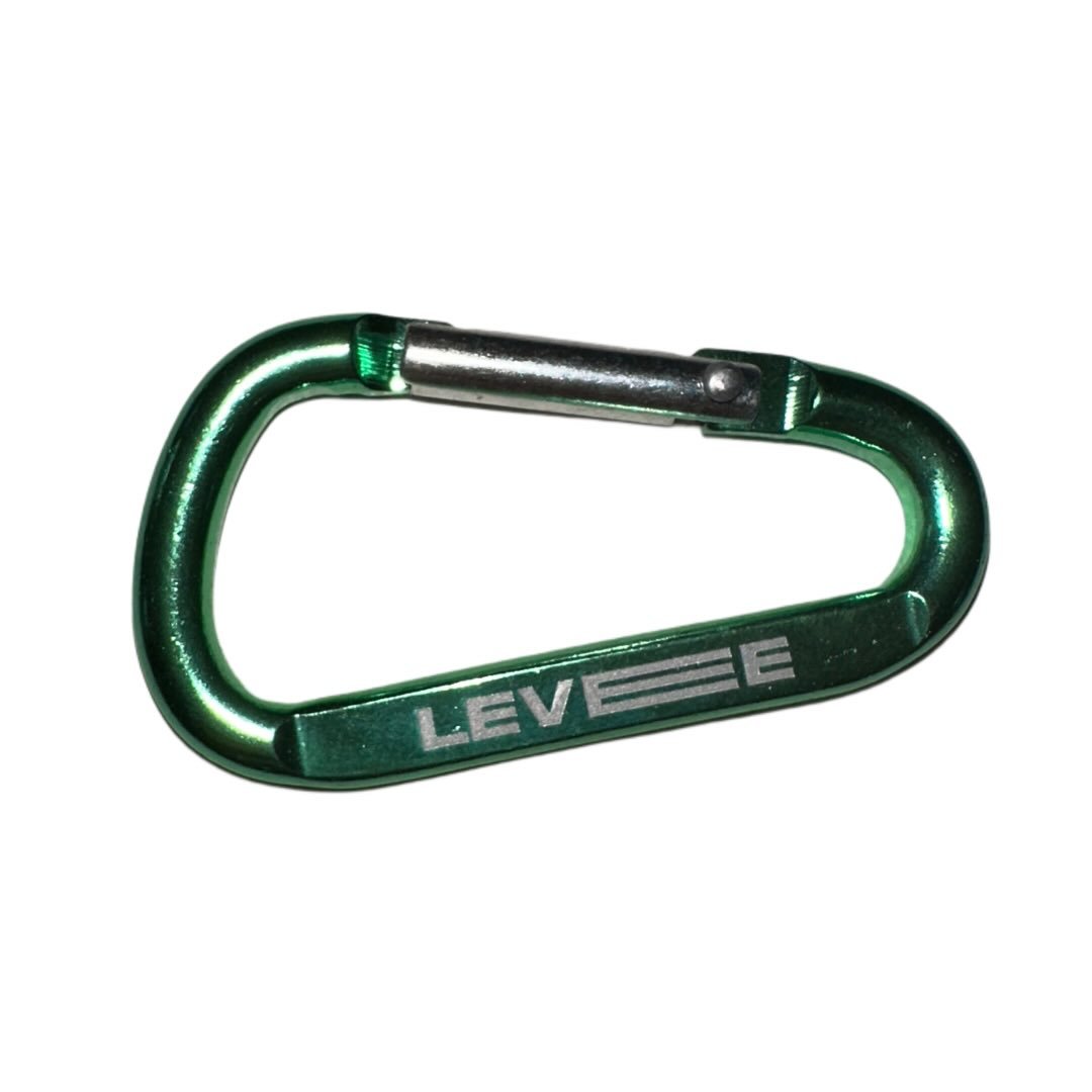 Levee