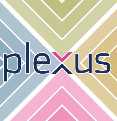 Plexus LGBT & Allied Chamber of Commerce