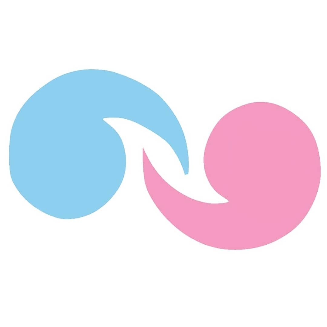 Translatinx Network