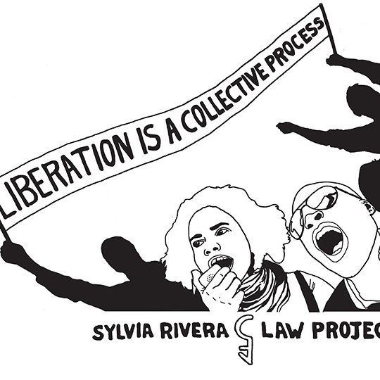 Sylvia Rivera Law Project (SRLP)