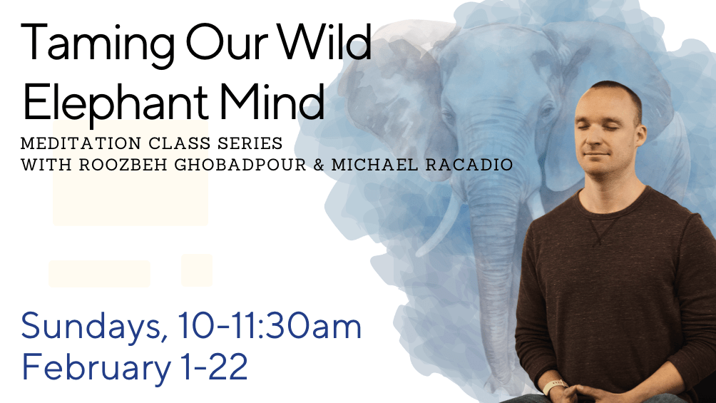 Taming Our Wild Elephant Mind