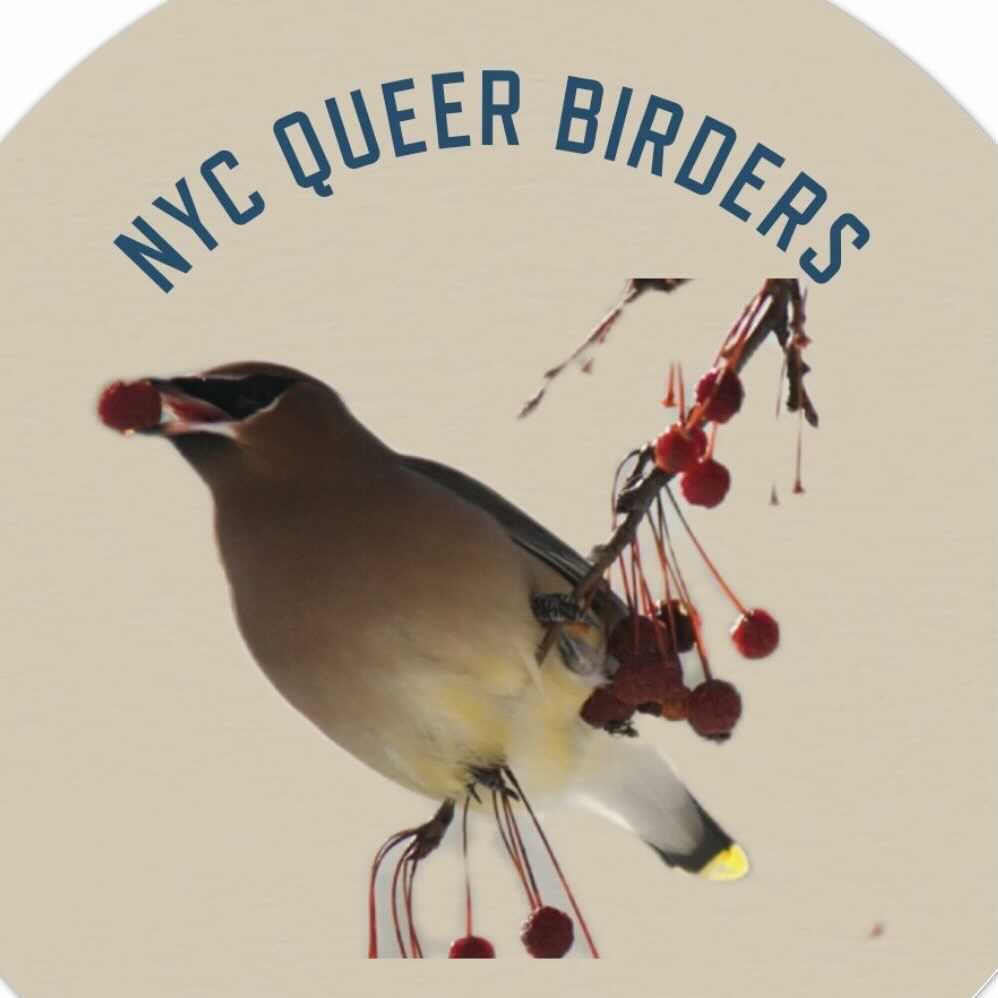 NYC Queer Birders