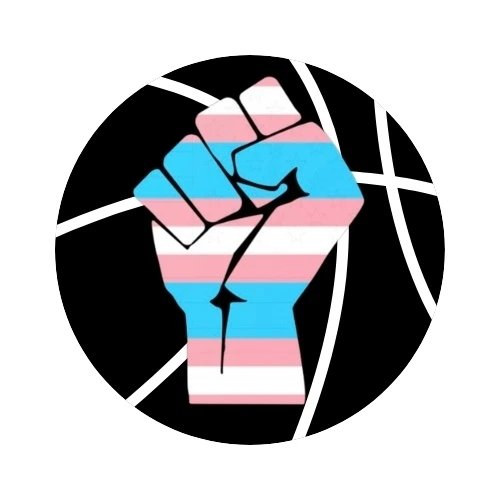 Trans Liberation Basketball League