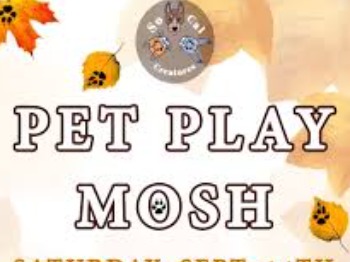 Pet Play Mosh @ 910 WeHo
