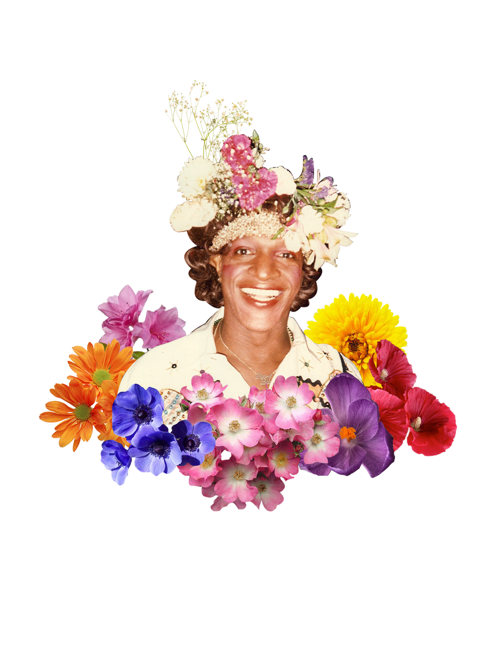 Freshly Crowned