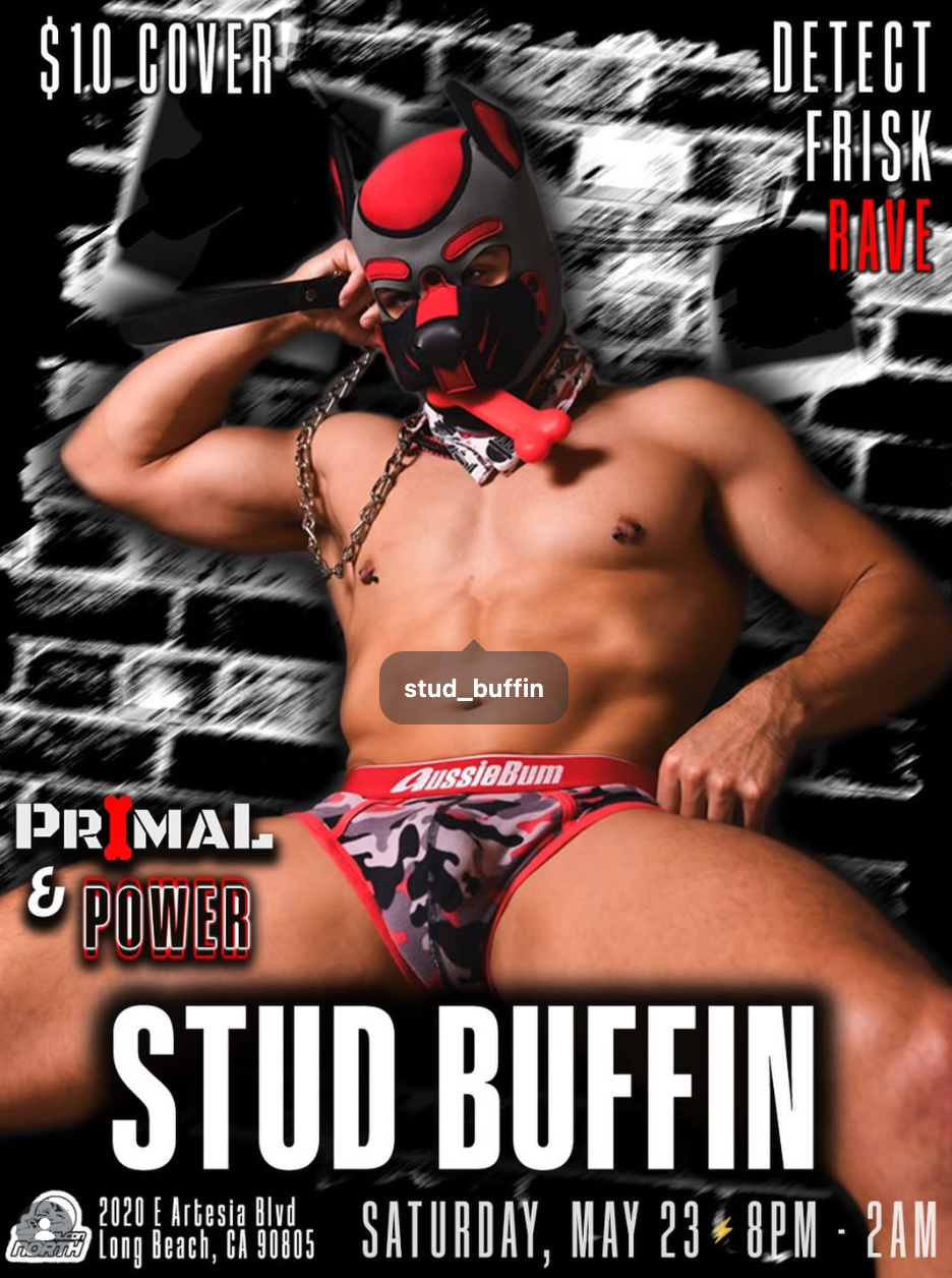 Primal Disco: Fur Noir