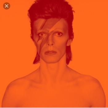 Rebel Rebel