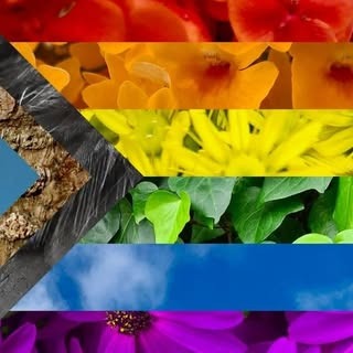PFLAG Franklin / Hampshire