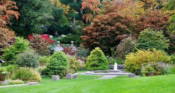 Mount Auburn Cemetery