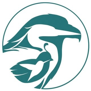 San Diego Bird Alliance (Queer Birding / Queer Hikes)
