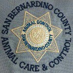 Devore Animal Shelter (San Bernardino County Animal Care)