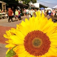 City of Rochester Public Market – Pride Night on the Bricks