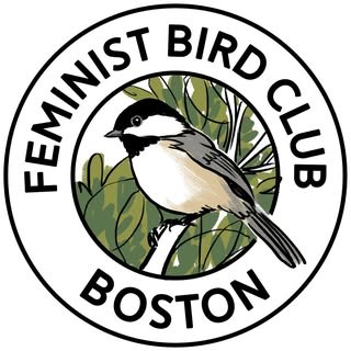 Feminist Bird Club Boston