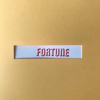 FORTUNE / Many Folds Press