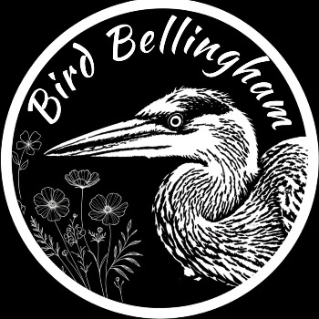 Bird Bellingham (Queer Birders Club)