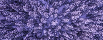 Garrison Institute LGBTQIA+ Meditation Sangha