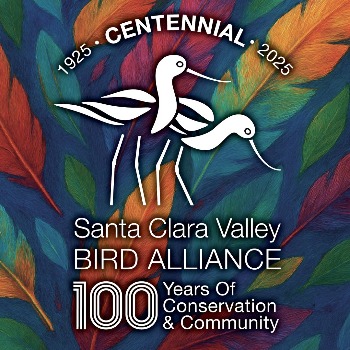 Santa Clara Valley Bird Alliance (Let's Go Birding Together)