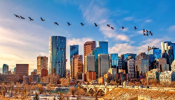 pflag Calgary