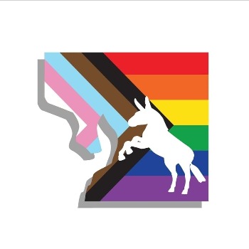 Hillsborough County LGBTQ+ Democratic Caucus