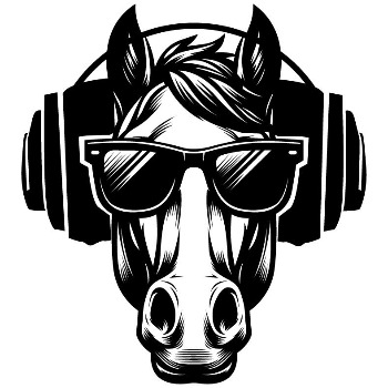 Disco Pony Nightclub