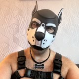 Pup Spark (SF.dog)