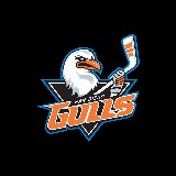 San Diego Gulls (Pride Night)
