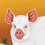 Marin County Fair (Pride Day)