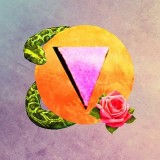 The Queer Sol Collective