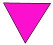The Pink Triangle